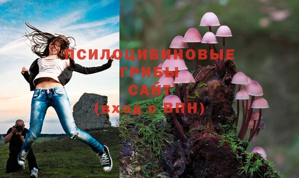 COCAINE Новокубанск