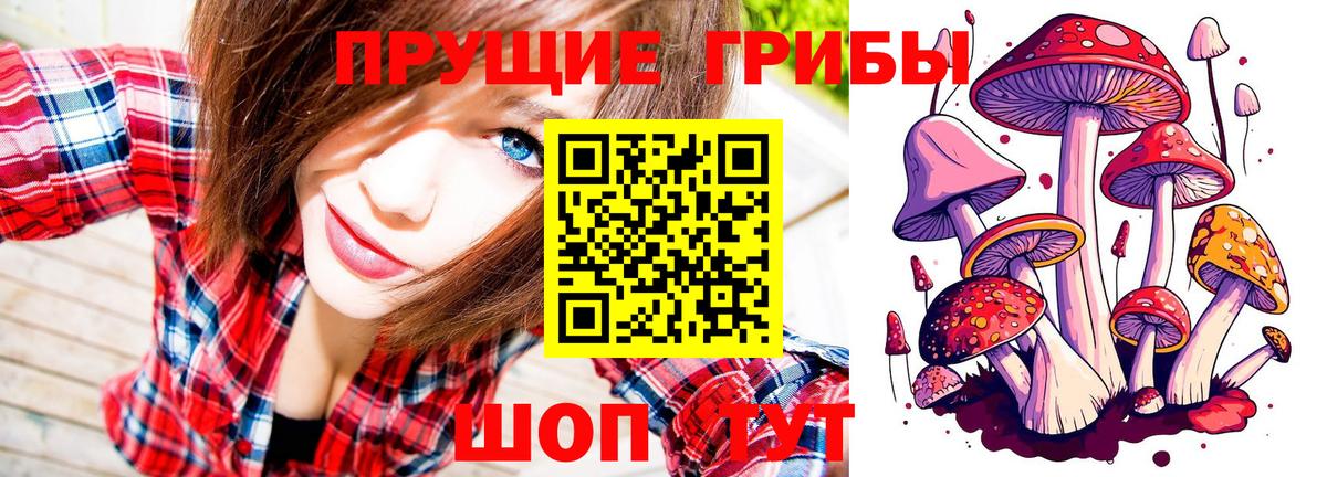 Галлюциногенные грибы MAGIC MUSHROOMS  Вход с VPN  сколько стоит  Топки 